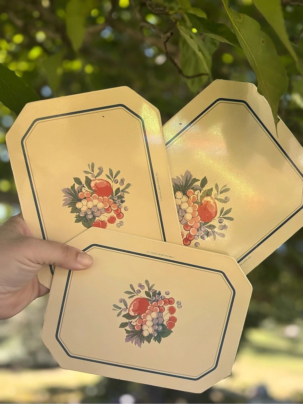 Vintage Hallmark Fruit Floral hot mat/trivet Set of 3